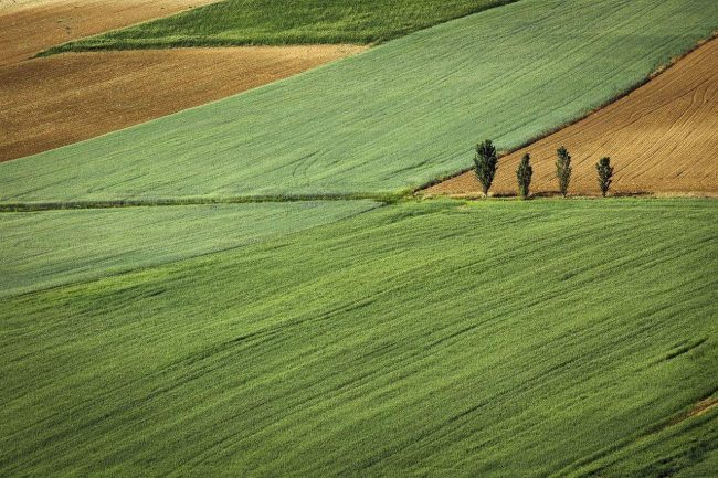 Selling Agricultural Land